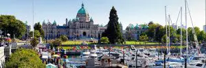 buy magic mushrooms in victoria BC