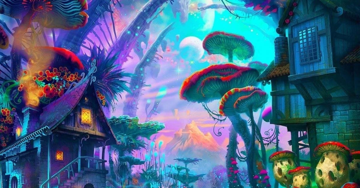 Magic Mushrooms and Canadian Law: Everything You Need to Know