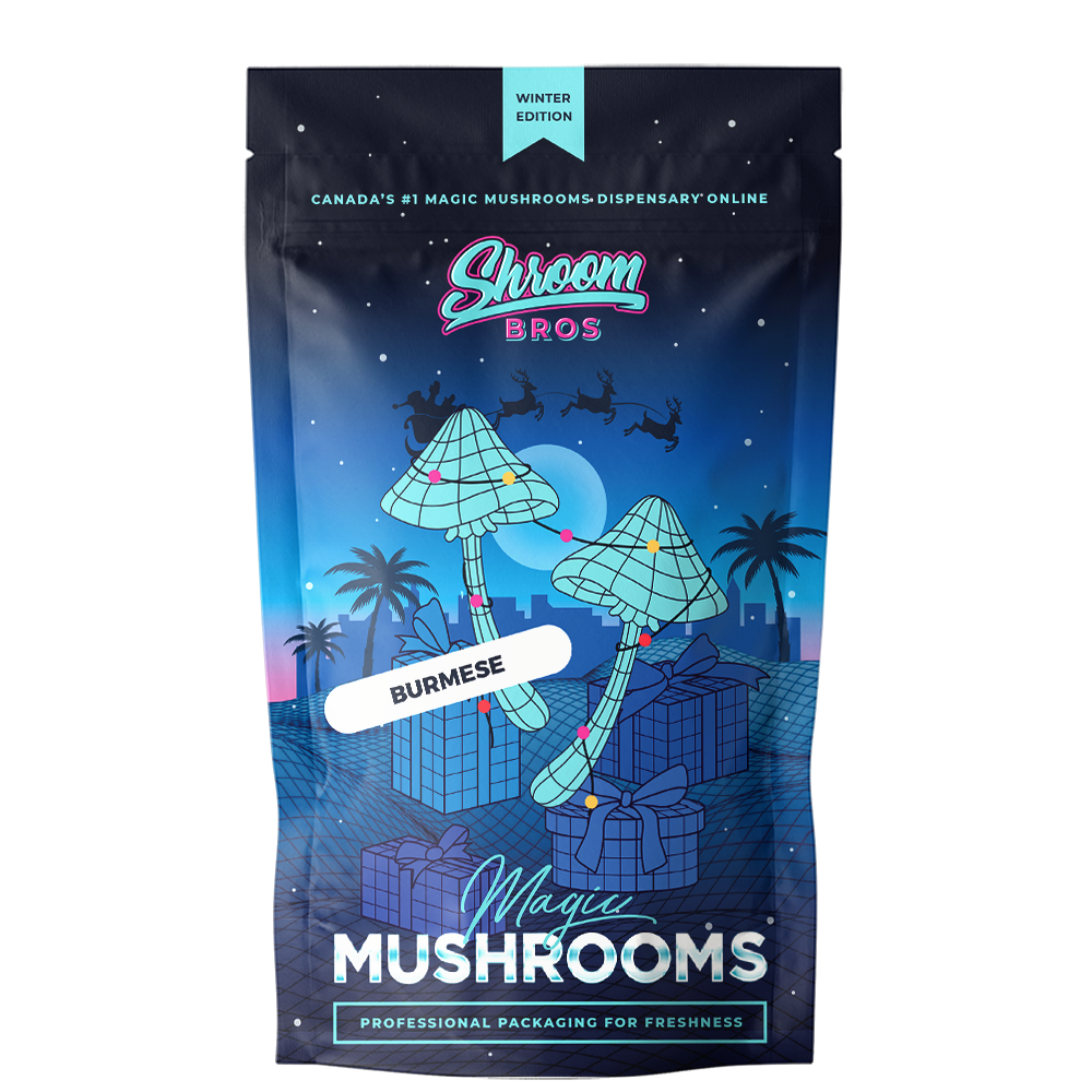 Buy Burmese Magic Mushrooms Online in Canada