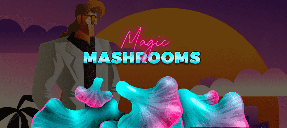 buy dried magic mushroms