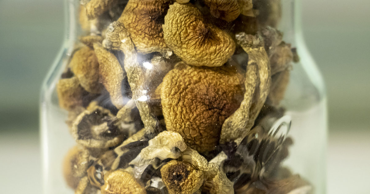 Jar of Magic Mushrooms